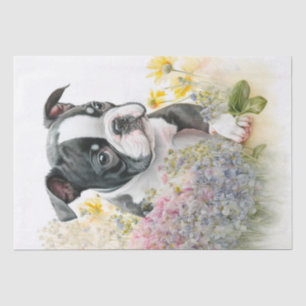 Papier Mousseline Aquarelle de Boston Terrier Puppy