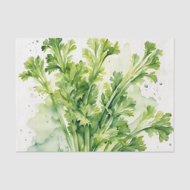 Papier Mousseline Aquarelle de céleri fraîche Stalk Botanique (Recto)