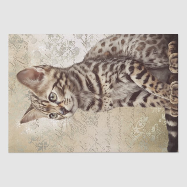Papier Mousseline Aquarelle de chat du Bengale (Recto)