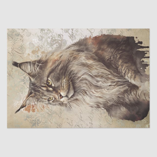 Papier Mousseline Aquarelle de chat Maine Coon (Recto)