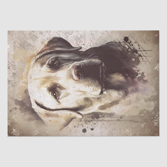Papier Mousseline Aquarelle de chien du Labrador (Recto)