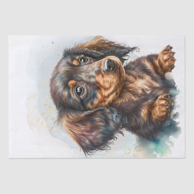 Papier Mousseline Aquarelle de chiot Dachshund (Recto)