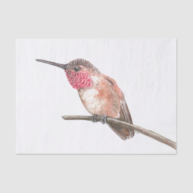 Papier Mousseline Aquarelle de colibri (Recto)