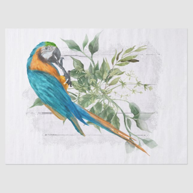 Papier Mousseline Aquarelle de Macaw Parrot bleu orange Eucalyptus (Recto)