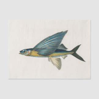 Papier Mousseline Aquarelle de poisson volant vintage