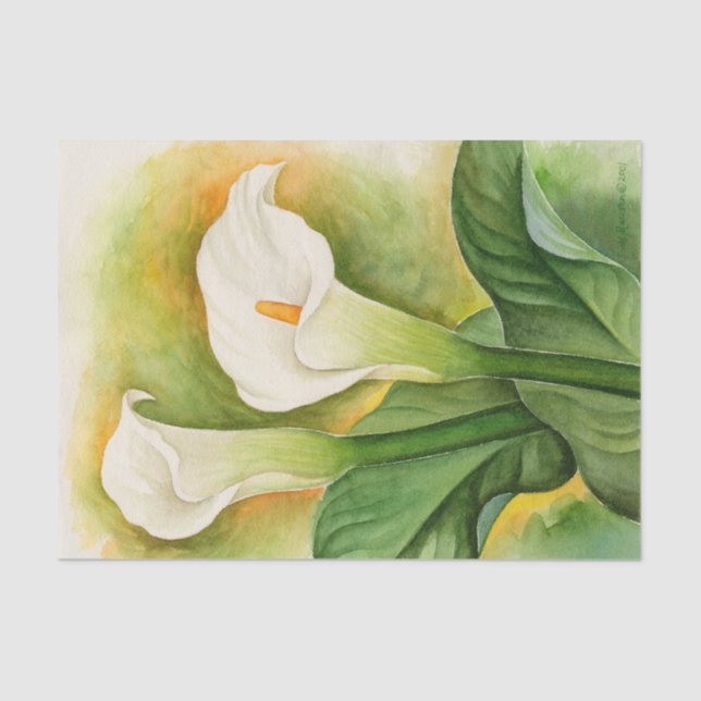 Papier Mousseline Aquarelle découpage de lys calla blanc floral (Recto)