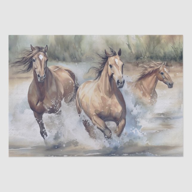 Papier Mousseline Aquarelle des Chevaux sauvages (Recto)
