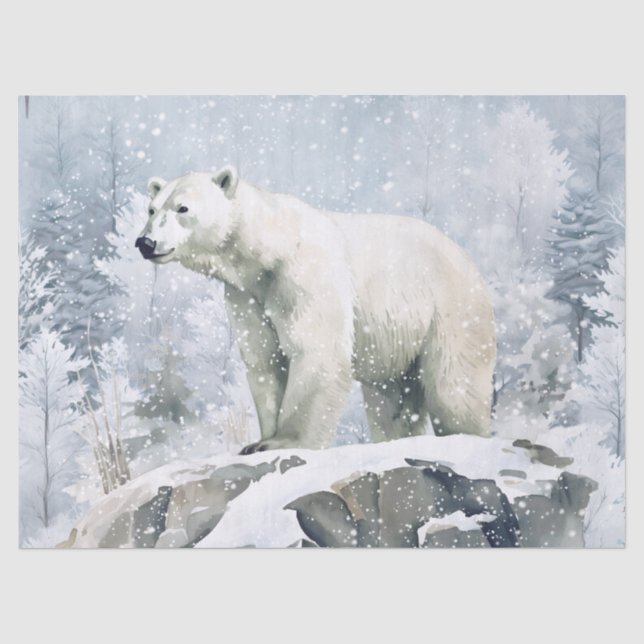 Papier Mousseline Aquarelle d'ours polaire (Recto)