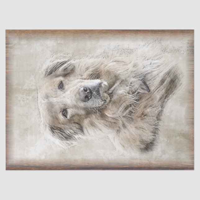 Papier Mousseline Aquarelle Golden Retriever Chien (Recto)