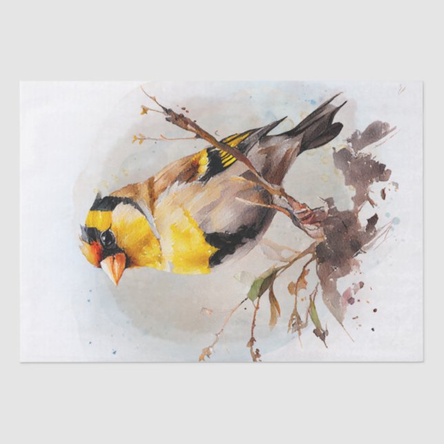 Papier Mousseline Aquarelle Goldfinch Bird (Recto)