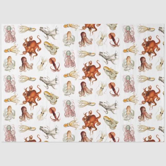 Papier Mousseline Aquarelle Octopus Cephalopod Océan Animaux (Recto)