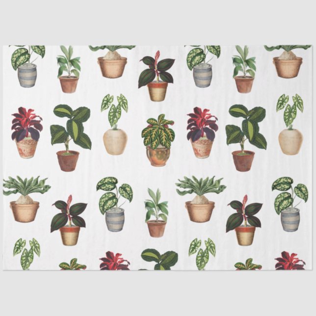 Papier Mousseline Aquarelle Pots Plante Motif Pots en terre cuite (Recto)