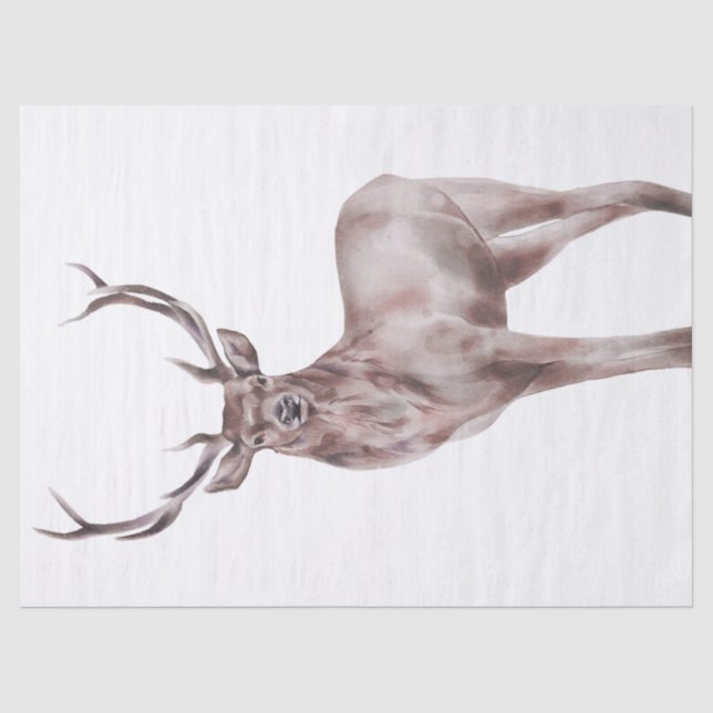 Papier Mousseline Aquarelle Red Deer (Recto)