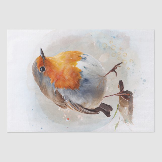 Papier Mousseline Aquarelle Robin Bird (Recto)