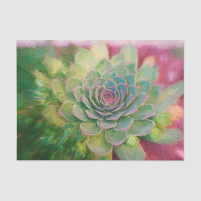 Papier Mousseline Aquarelle rose rose rustique Succulente (Recto)