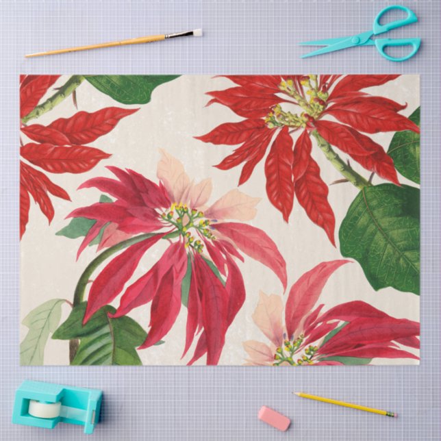 Papier Mousseline Aquarelle rouge rustique Poinsettia Flore Verdure (Artisanat)