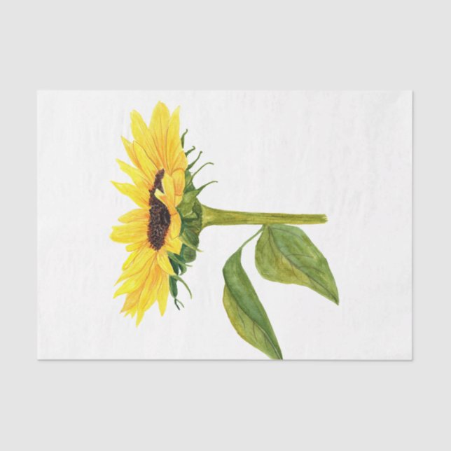 Papier Mousseline Aquarelle Thankesgiving Series Design 8 (Recto)