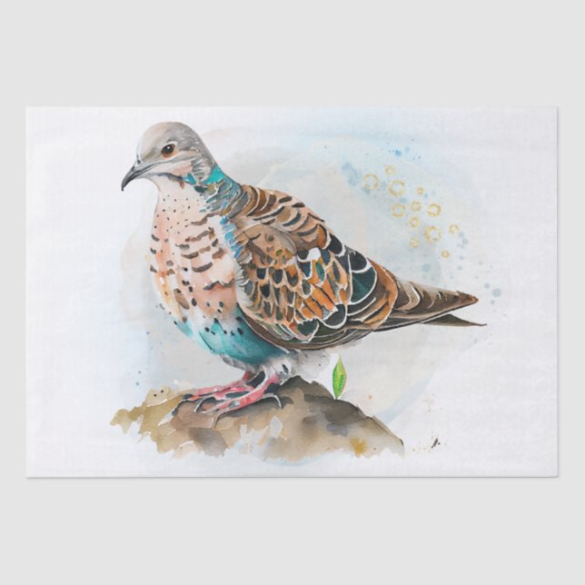 Papier Mousseline Aquarelle Turtle Dove (Recto)