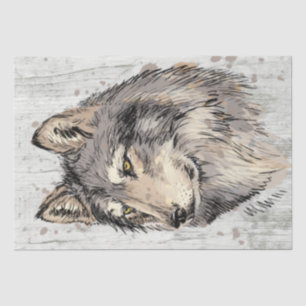 Papier Mousseline Aquarelle Wolf