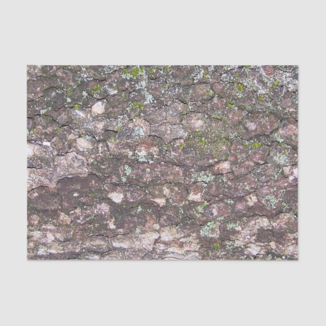 Papier Mousseline Arbre 2 - Mousse sur écorce (Recto)