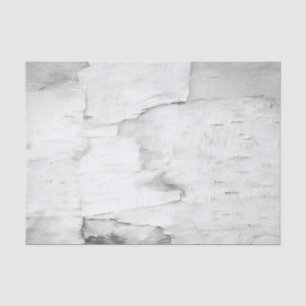 Papier Mousseline Arbre à écorce de bouleau noir et blanc Rustique b