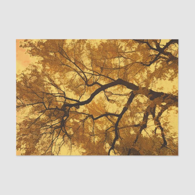 Papier Mousseline Arbre d'automne Orange Feuille Ciel Jaune (Recto)