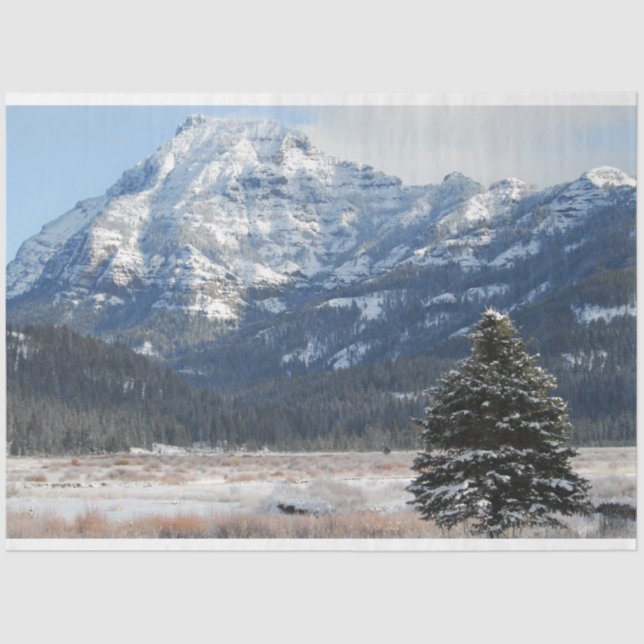 Papier Mousseline Arbre de Noël (Recto)