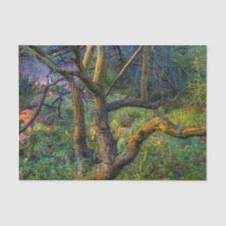 Papier Mousseline Arbre de Palo Verde