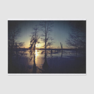 Papier Mousseline Arbres et marais du coucher du soleil Cypress de