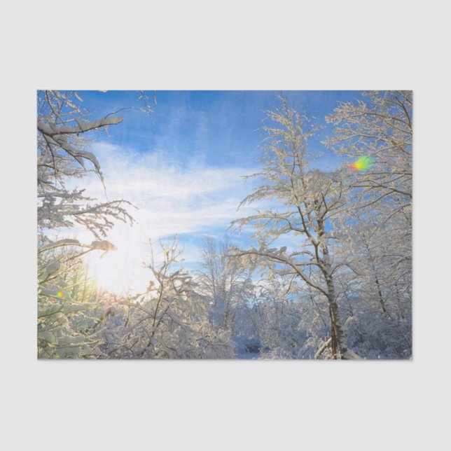 Papier Mousseline Arbres Neige Hiver Couvert Ciel Bleu Nuages Paysag (Recto)