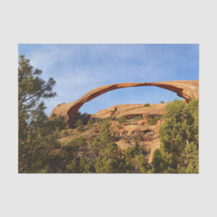 Papier Mousseline Arc de paysage dans le parc national des Arches