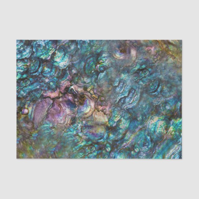 Papier Mousseline Arc en ciel Iridescente Abalone Beach Shell (Recto)