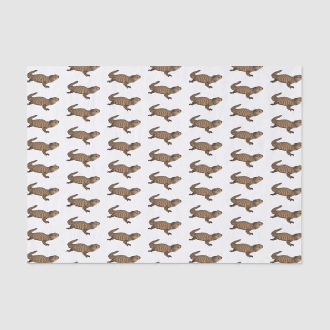 Papier Mousseline Armadillo girdled lizard (Recto)