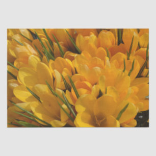 Papier Mousseline Arôme de Crocus jaune - Fleurs jaunes dorées
