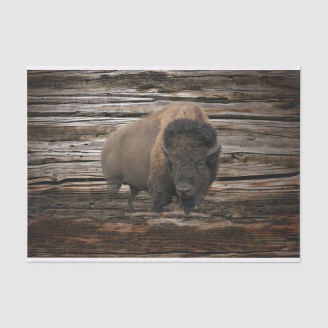 Papier Mousseline Arrière - plan Bison Buffalo Wood (Recto)