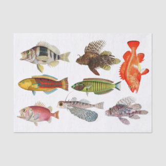 Papier Mousseline Artiste Impressions Océan Vie marine Espèces de po