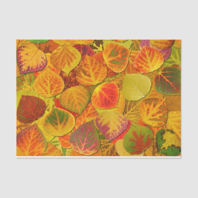 Papier Mousseline Aspen Feuilles Collage Solid Medley 1 (Recto)