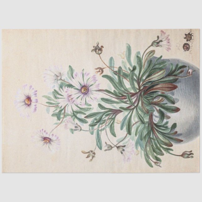 Papier Mousseline Asters vintages dans un pot (Recto)