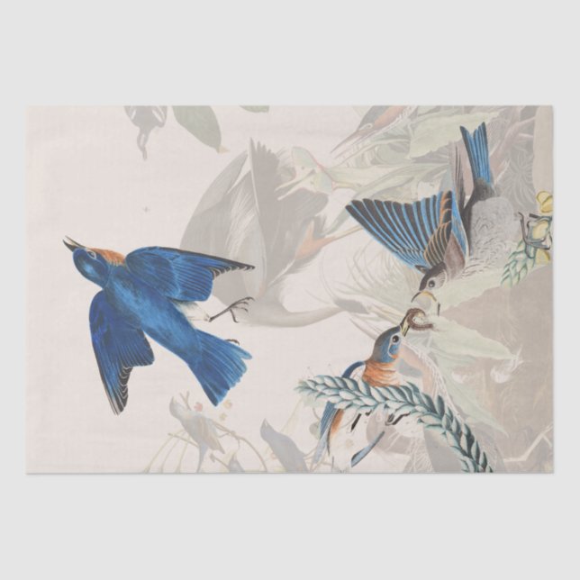 Papier Mousseline Audubon Heron Bluebird Birds Wildlife Tissue Paper (Recto)