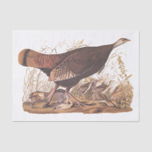 Papier Mousseline Audubon Turquie Hen et poussins à l'automne