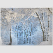 autre pays des merveilles hivernales