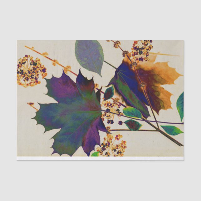 Papier Mousseline Autumn Leaves (Recto)