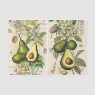 Papier Mousseline Avocados