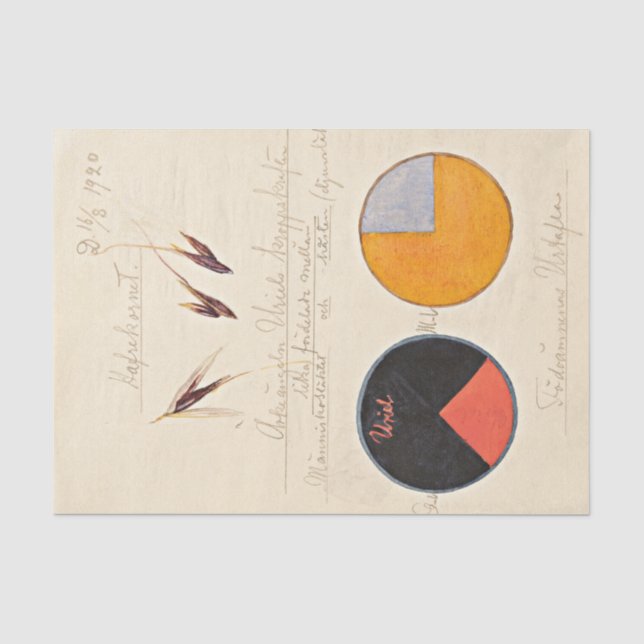 Papier Mousseline avoine, 1920 par Hilma af Klint (Recto)