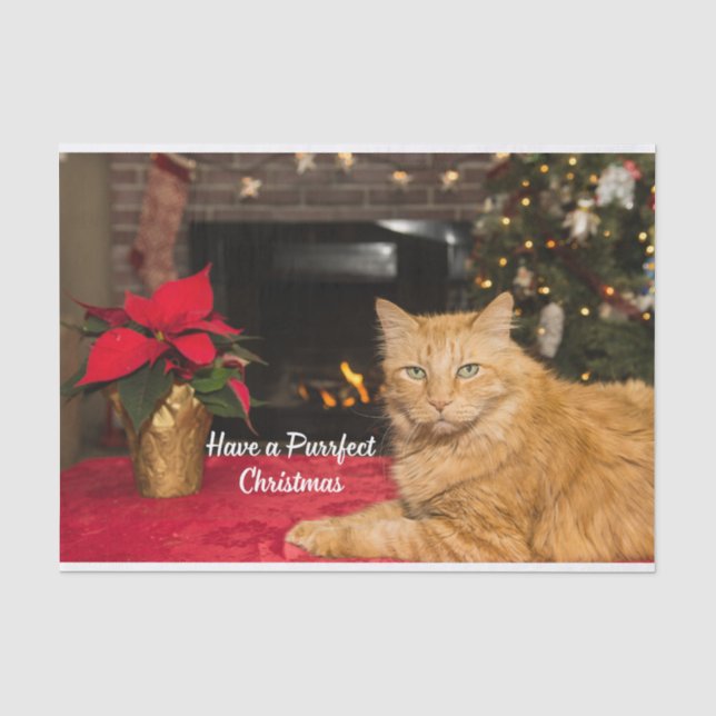 Papier Mousseline Ayez un chat joli de Noël Orange (Recto)