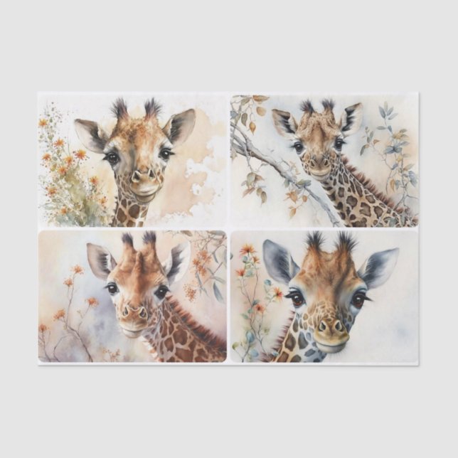 Papier Mousseline Baby Giraffes (Recto)