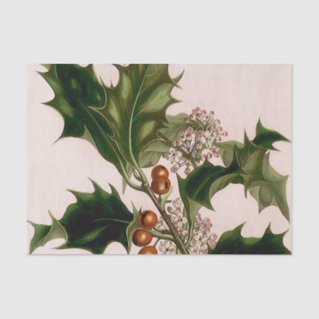 Papier Mousseline baies de houx (Recto)