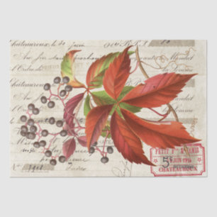 Papier Mousseline Baies Feuilles rouges Botanique