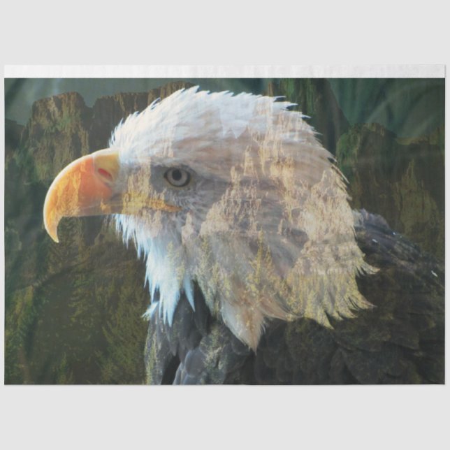 Papier Mousseline Bald Eagle Mountain Blend (Recto)