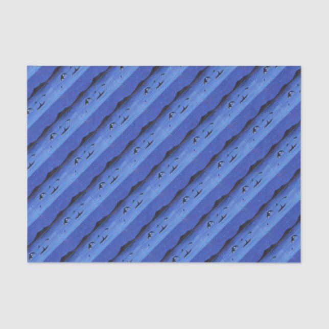 Papier Mousseline Baleines tueuses (Recto)